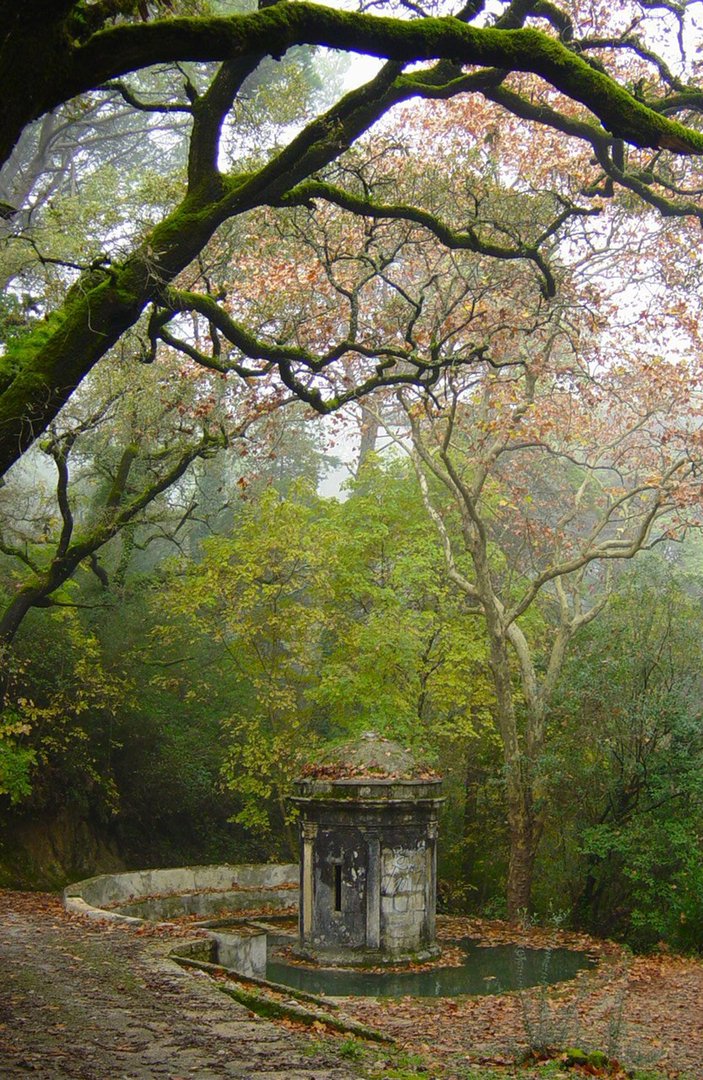 Charolinha - Rodeada por um tanque circular, a Charolinha é uma "Casa de fresco" que parece isolada do mundo