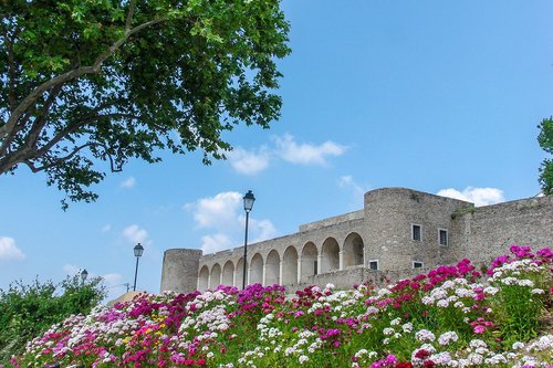 Castelo/Fortaleza de Abrantes, Igreja de Santa Maria do Castelo e Igreja de São Vicente