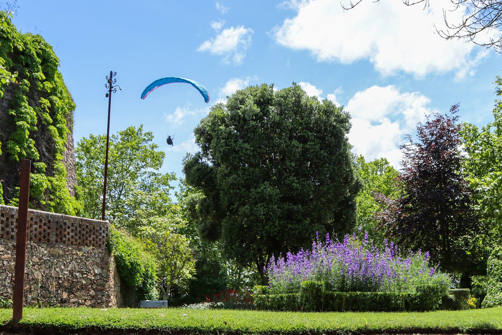 Castle garden