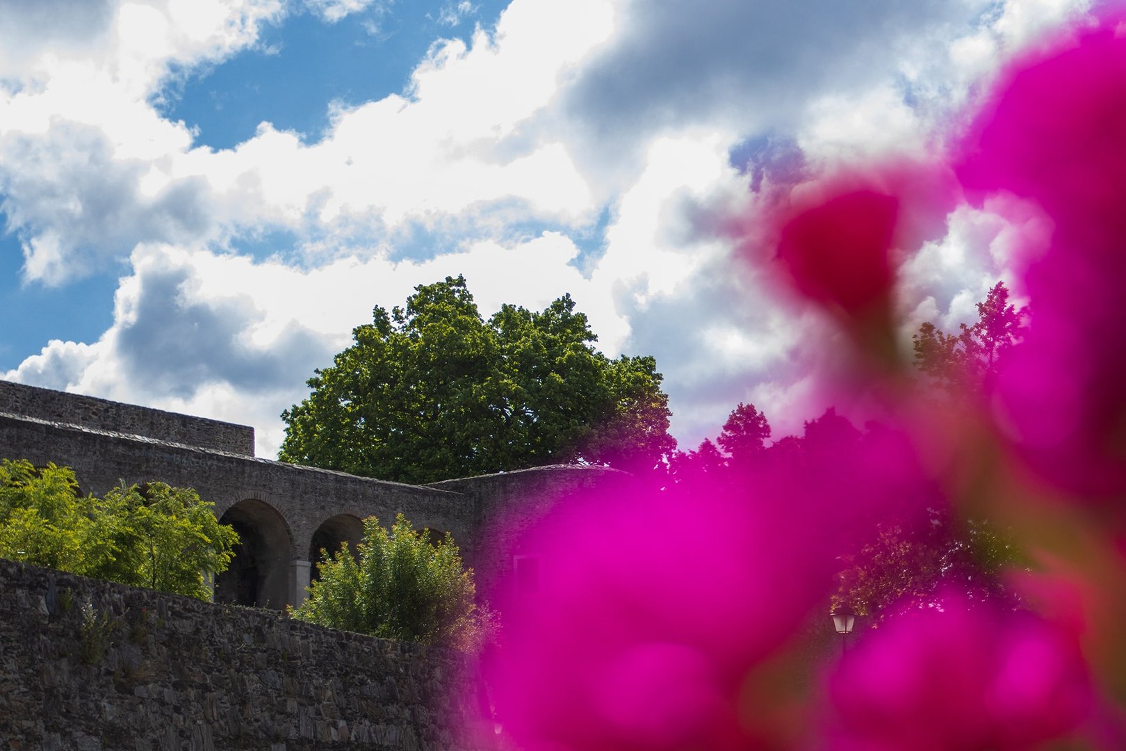 The castle garden has a great diversity of exotic flowers and Portuguese flora