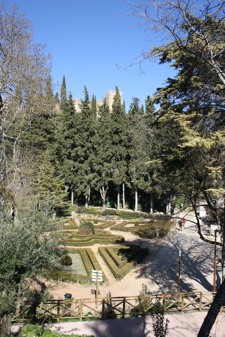 Bosque de los Siete Montes