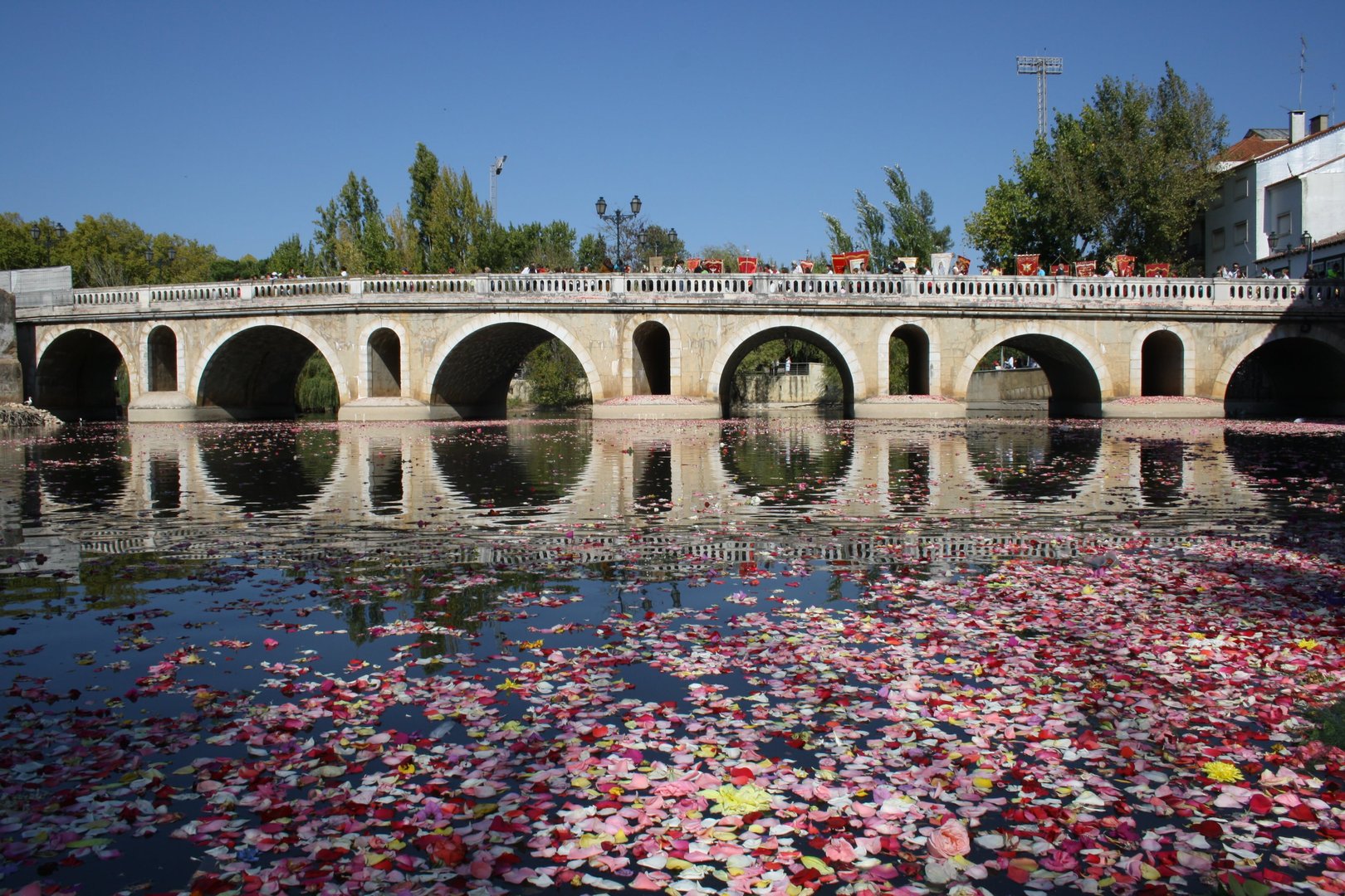 Todos los años, el 20 de octubre, tiene lugar la Procesión de Santa Iría, con el lanzamiento de pétalos bajo el puente.