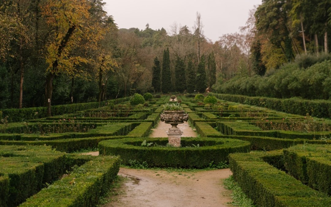 Forest of Sete Montes — General view — Former enclosure of the Convent of Christ.